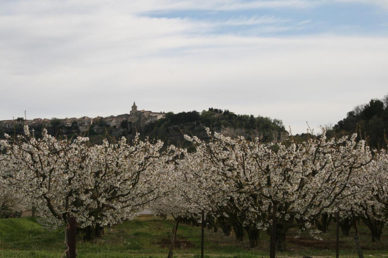 韦纳斯克Le Mas Des Pierres Blanches住宿加早餐旅馆 外观 照片